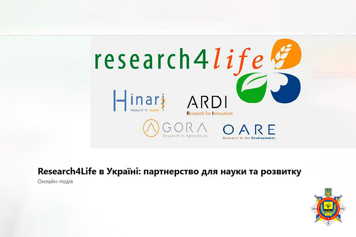 Шаблон сайт11